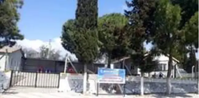 Ünlü komedyen Ata Demirer'den hayvanseverlere çağrı