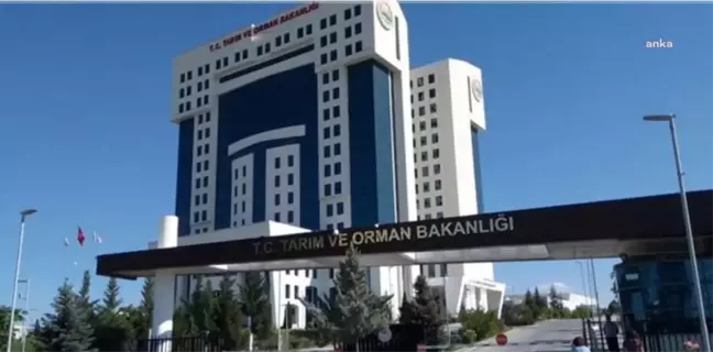 Tarım ve Orman Bakanlığı 1 Milyar 602 Milyon Liralık Destek Ödemesinin Bugün Başladığını Duyurdu
