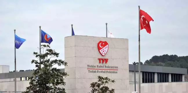 TFF, 8 Kulüp ve İki Teknik Direktörü PFDK'ya Sevk Etti