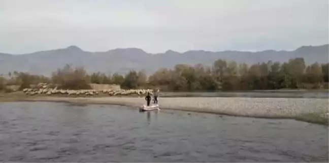 Baraj Kapakları Açıldı, Çoban ve Koyunları Mahsur Kaldı