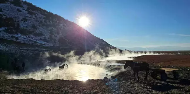 Bitlis'te Atlar Kaplıcada Yıkanıyor