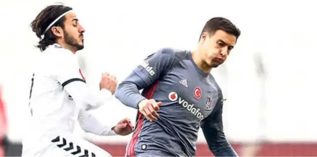 Matej Mitrovic'e Hırvat Desteği