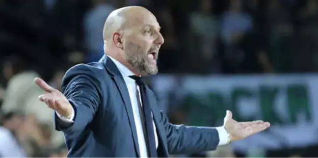 Sasa Djordjevic: