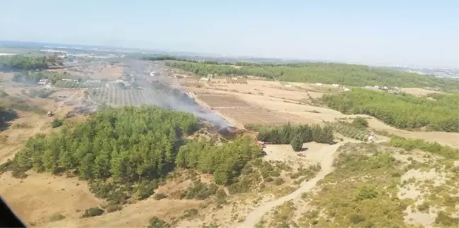 Arap Beleni'nde çıkan yangın, ormana ulaşmadan söndürüldü