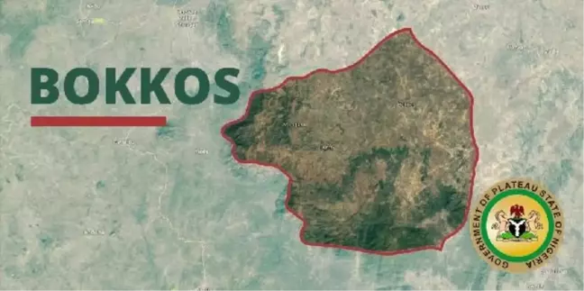 Nijerya'da silahlı saldırıda ölü sayısı 140'ı geçti