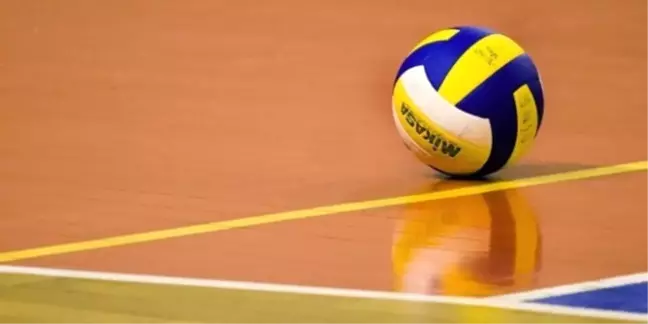 Voleybol: Efeler Ligi