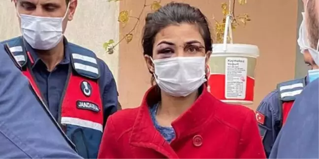 Melek İpek kimdir? Melek İpek kaç yaşında aslen nereli? Melek İpek davası nedir?