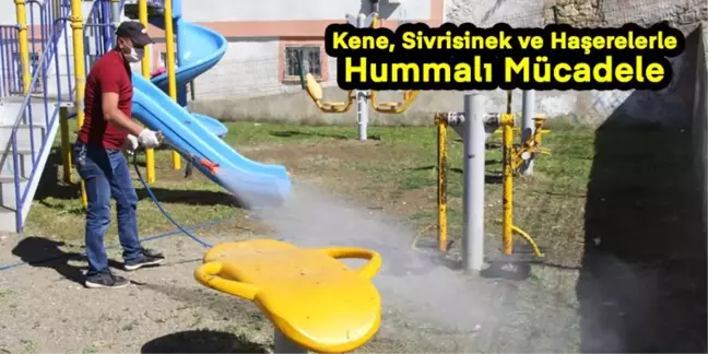 Haşerelerle Mücadele Devam Ediyor