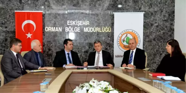 Her Yeni Doğan Bebeğin Artık Dikili Bir Ağacı Olacak