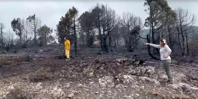 Balıkesir Kepsut'ta Orman Yangını Kontrol Altına Alındı