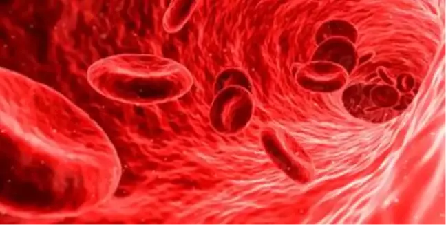T hücresi nedir? T hücresi koronavirüse karşı koruyor mu? T hücresi özellikleri nelerdir?