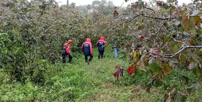 Ordu'da Hurma Toplarken Hayatını Kaybeden Adamın Cansız Bedeni Bulundu