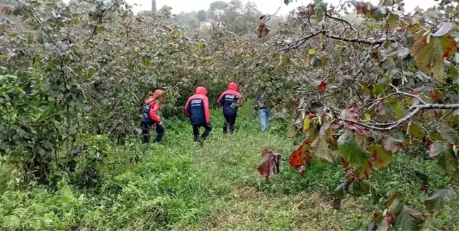 Hurma Toplamak İçin Çıktığı Ağaçtan Düşen Yaşlı Adam Hayatını Kaybetti