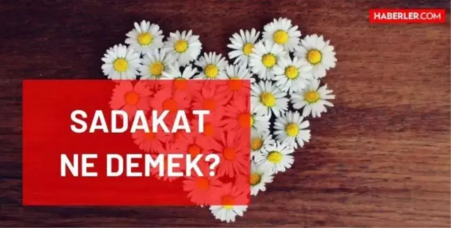 Sadakat ne demek? Sadakat sözleri! Sadakat ile ilgili sözler nelerdir? TDK'ya göre sadakat nedir?