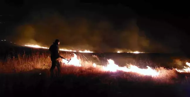 Van'ın Tuşba ilçesinde çıkan anız yangını söndürüldü