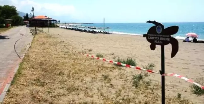 Mersin'de Caretta Carettaların Yuvalama Alanı Temizlendi
