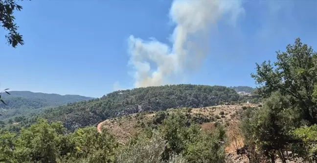 Kaş'ta ormanlık alanda çıkan yangına müdahale ediliyor