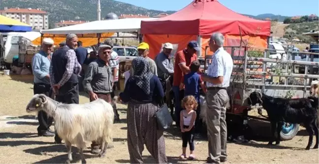Bucak'ta Kurban bayramı hazırlıkları