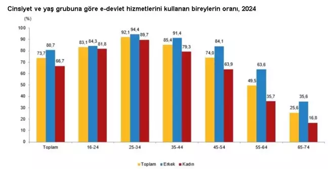 TÜİK: Türkiye'de İnternet Kullanım Oranı Yükseliyor