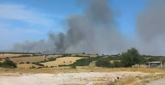 Çanakkale'de Tarım Arazisinde Çıkan Yangın Söndürülmeye Çalışılıyor