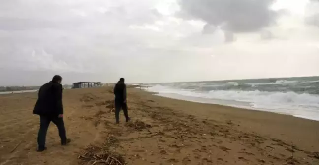Teknesi Alabora Olan Veteriner Hekim Aranıyor