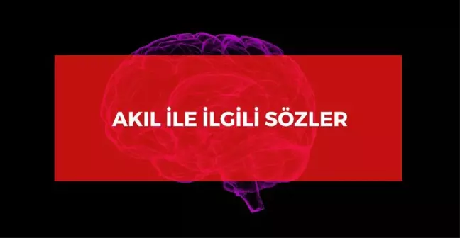 Akıl ile ilgili sözler 2024: Anlamlı akıl ile ilgili kısa sözler! Akıl sözleri!