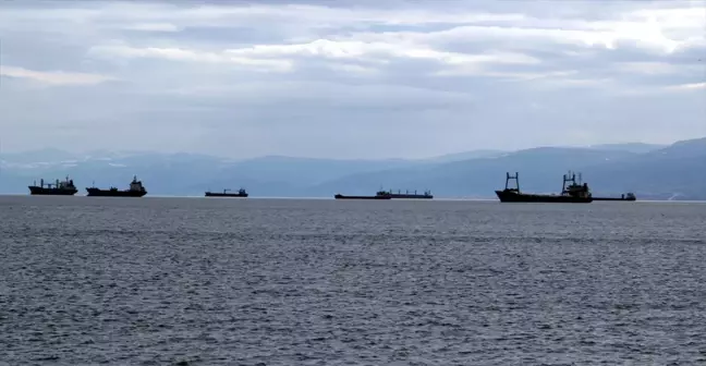 Karadeniz'de Fırtına Uyarısı: Yüzlerce Yük Gemisi Sinop Limanına Demirledi