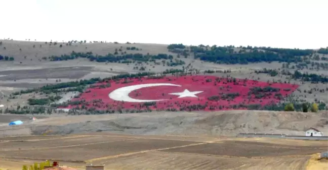 20 Bin Ton Taşla Dev Türk Bayrağı