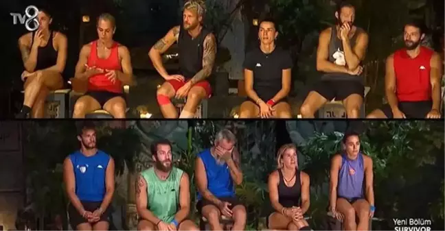 Survivor 2024 All Star'da Yeni Haftanın Kaptanları ve Takımları Belirlendi