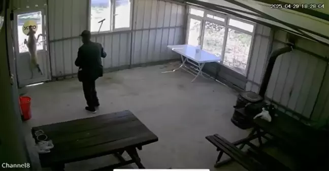 Edirne'de Köpeğe İşkence Eden Yaşlı Adamın Üzücü Hikayesi