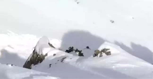 Dağcının Çığ Altında Kaldığı Anları Arkadaşı Görüntüledi