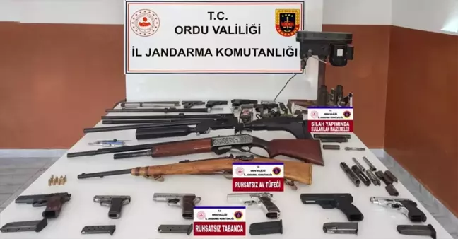 Ordu'da silah ve mühimmat kaçakçılığı operasyonunda 1 şüpheli tutuklandı