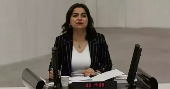 Gülüstan Kılıç Koçyiğit kimdir, kaç yaşında? Gülüstan Kılıç Koçyiğit nereli, hayatı ve biyografisi!
