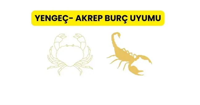 Yengeç- Akrep Burç uyumu | Yengeç- Akrep burç uyumu nedir? İlişkide akrep ve yengeç burcu uyumlu mu?