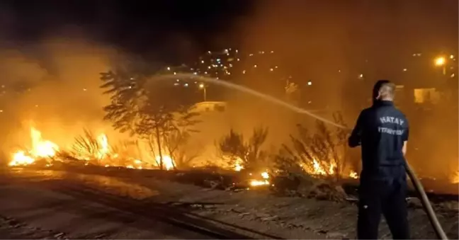 Hatay'da Asi Nehri çevresinde çıkan yangın söndürüldü