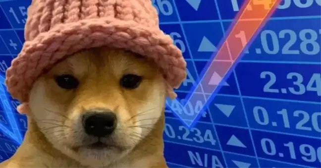 Dogwifhat (WIF) nedir, nasıl alınır?