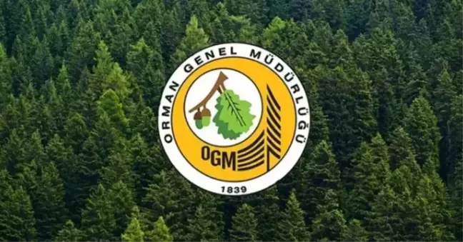 OGM PERSONEL ALIMI SONUÇ EKRANI: Orman Genel Müdürlüğü 3.477 personel alımı başvuru sonuçları açıklandı mı? OGM sonuçları nereden açıklanacak?