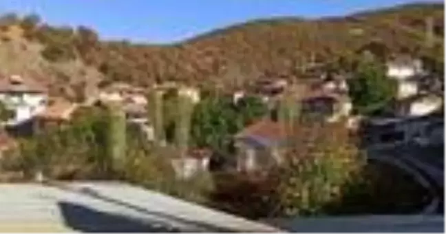 Çobanın testi pozitif çıktı, köy karantinaya alındı