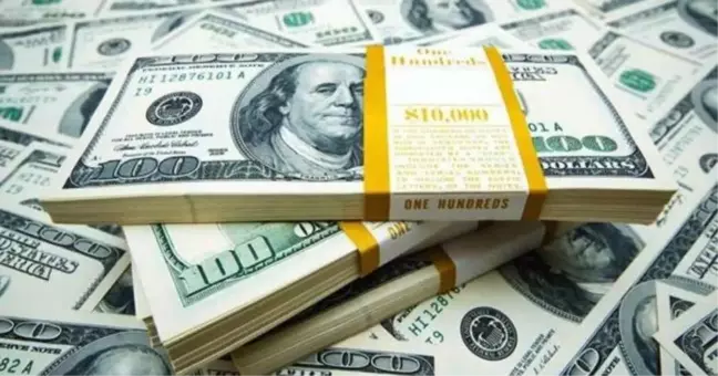1.600 Dolar kaç TL? 800 Dolar kaç TL?