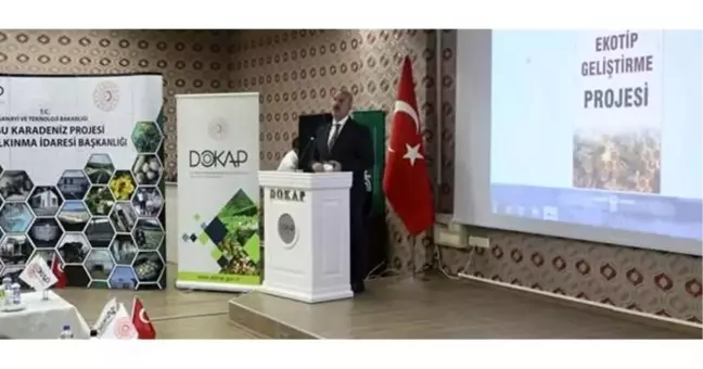 Damızlık Ana Arı Ekotip Geliştirme Projesi Çalıştayı DOKAP - Doğu Karadeniz Projesi Bölge Kalkınma İdaresi Başkanlığı
