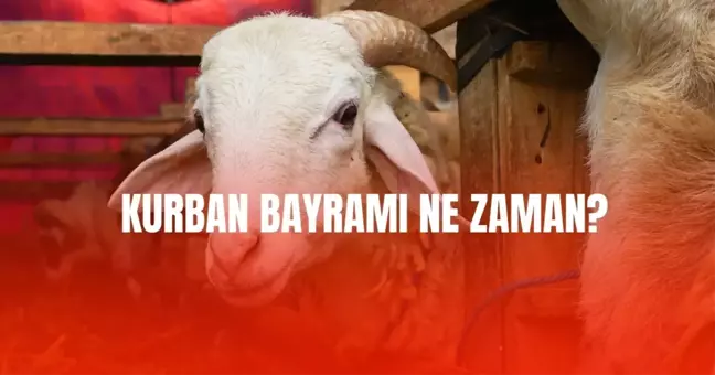 Kurban Bayramı ne zaman? Diyanet takvimine göre Kurban Bayramı hangi tarihte? İşte 2025 Kurban Bayramı tarihi ve günleri!