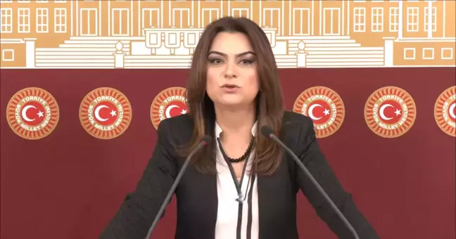 Öcalan'ın Tecridinin Sonlandırılması Talebi