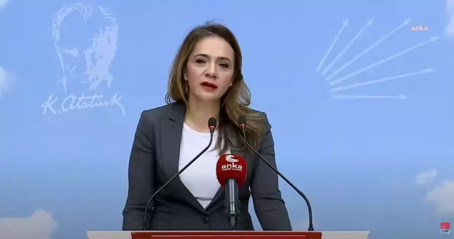 Türkiye'de 22 Yılda 2 Milyon 88 Bin 925 Kız Çocuğu Doğum Yaptı
