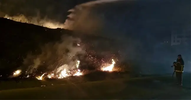 Antakya'da bir tarlada çıkan yangın söndürüldü