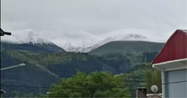 Erzincan ve Ardahan'ın yükseklerine kar yağdı