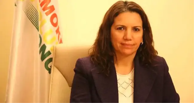 Hdp'li Irmak'a 4 Yıla Kadar Hapis İstemi