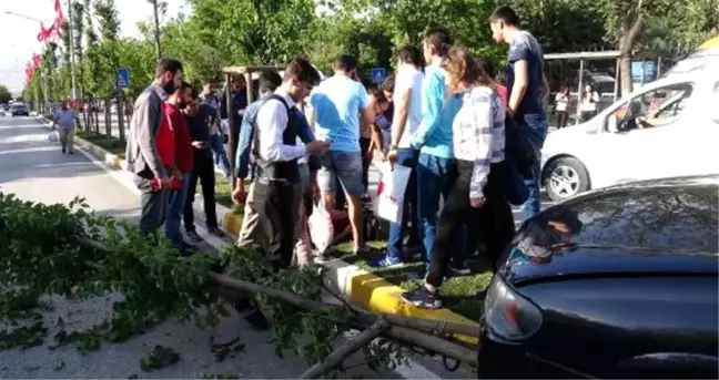 Otomobile Çarpmamak İçin Refüje Çıktı, Kırdığı Ağaç Yayanın Üzerine Devrildi