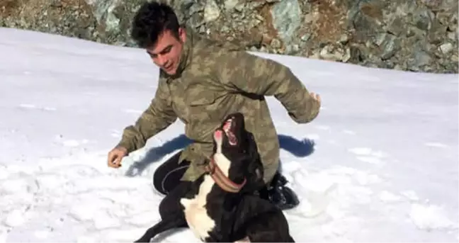 Alt Katta Kafasına Sıkıp Öldürdü, Üst Kata Çıkıp Uyudu