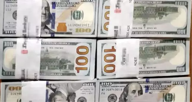 Çöpe atılan 70 bin dolarının izini takip edip buldu