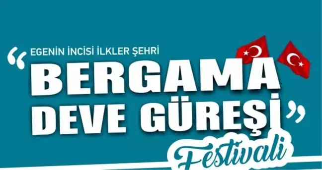 Bergama Deve Güreşi Festivali'ne hazırlanıyor